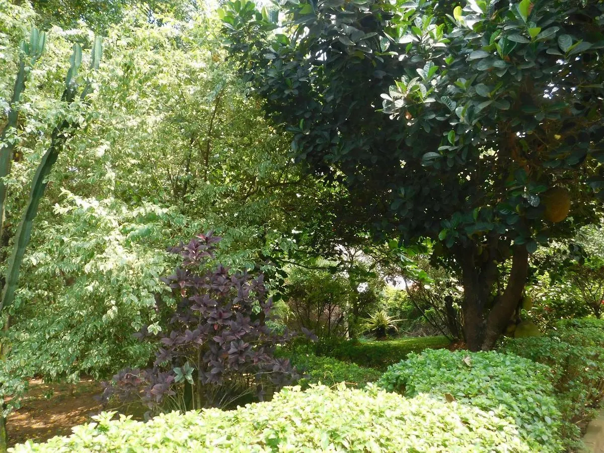 Guest house Soho Greens Apartment 4 Kampala